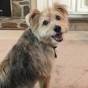 Meet your Posher, Flo